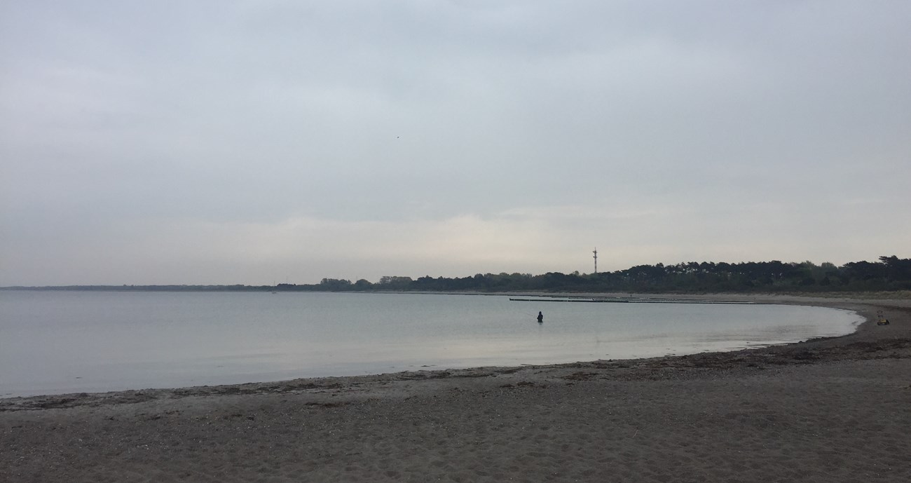 Strand am Ostufer der Warnowmündung