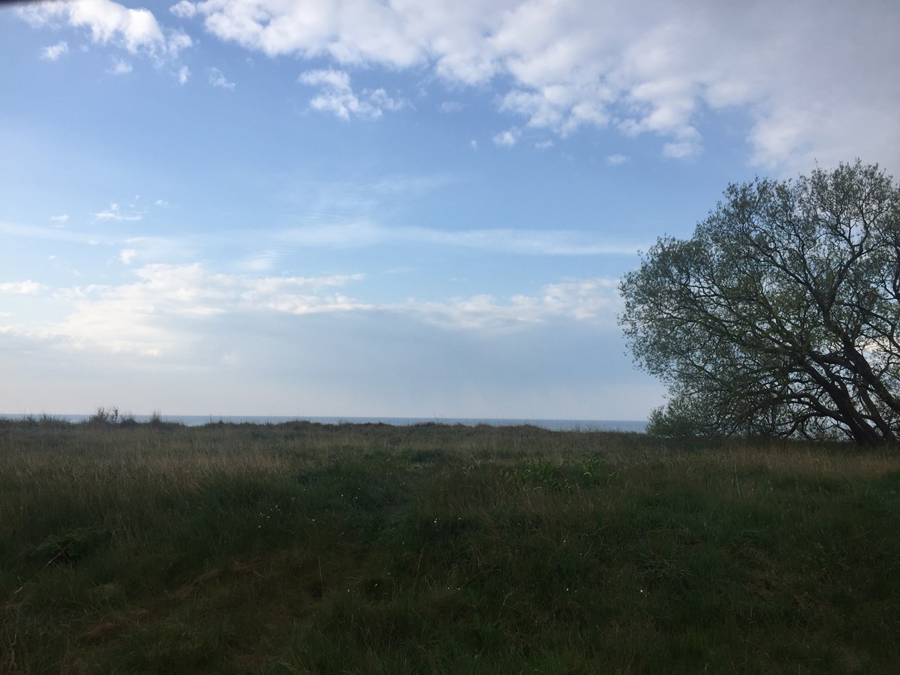 Blick aus dem seitlichen Busfenster kurz nach dem Aufwachen am Übernachtungsplatz (ein ehemaliger Fussballplatz) in der Nähe von Trelleborg (präziser ausgedrückt bei "Böste läge")
