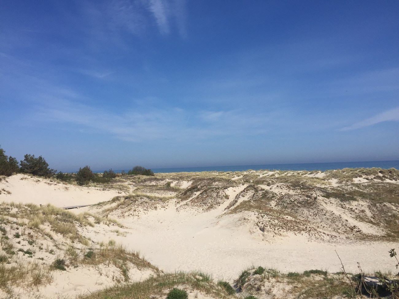 Dünen bei "Sandhammaren" 