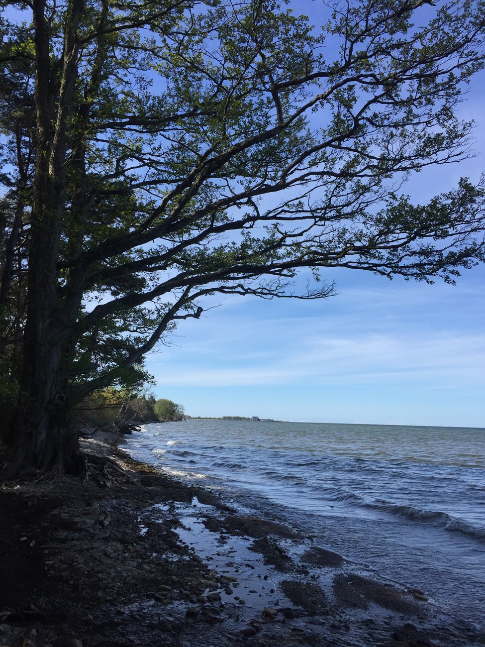 Ostseeküste im Osten von Öland