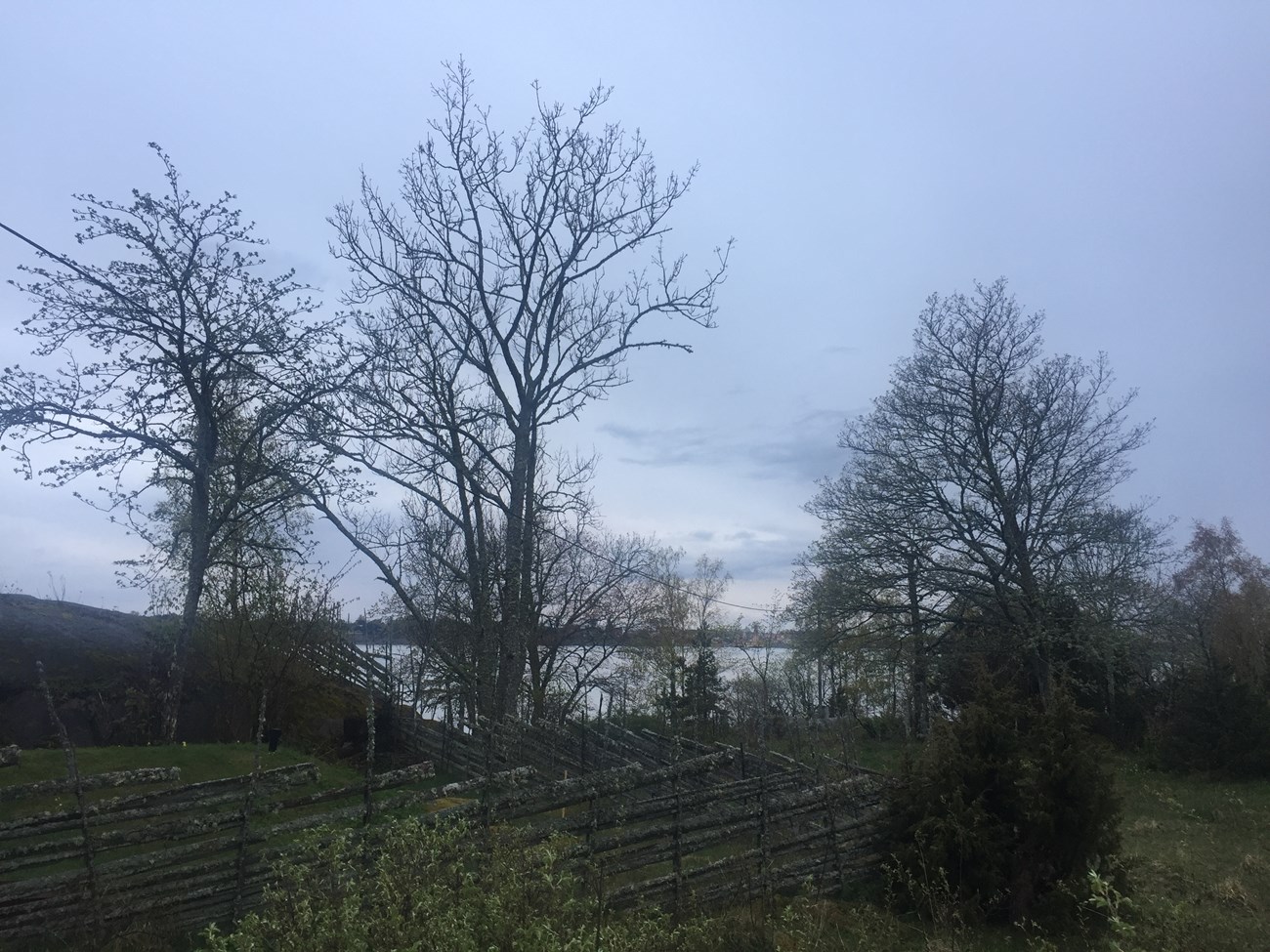 Gräsö 