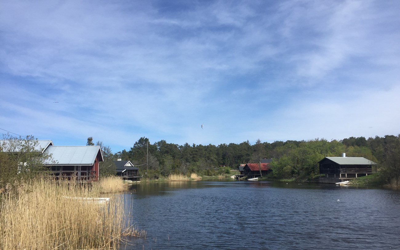 Unterwegs im Naturreservat "Biludden" (Uppsala Län) 