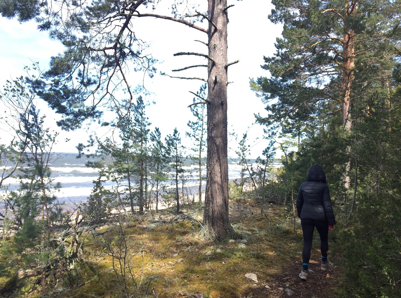 BH unterwegs im Naturreservat namens Biludden (Mai 2020)