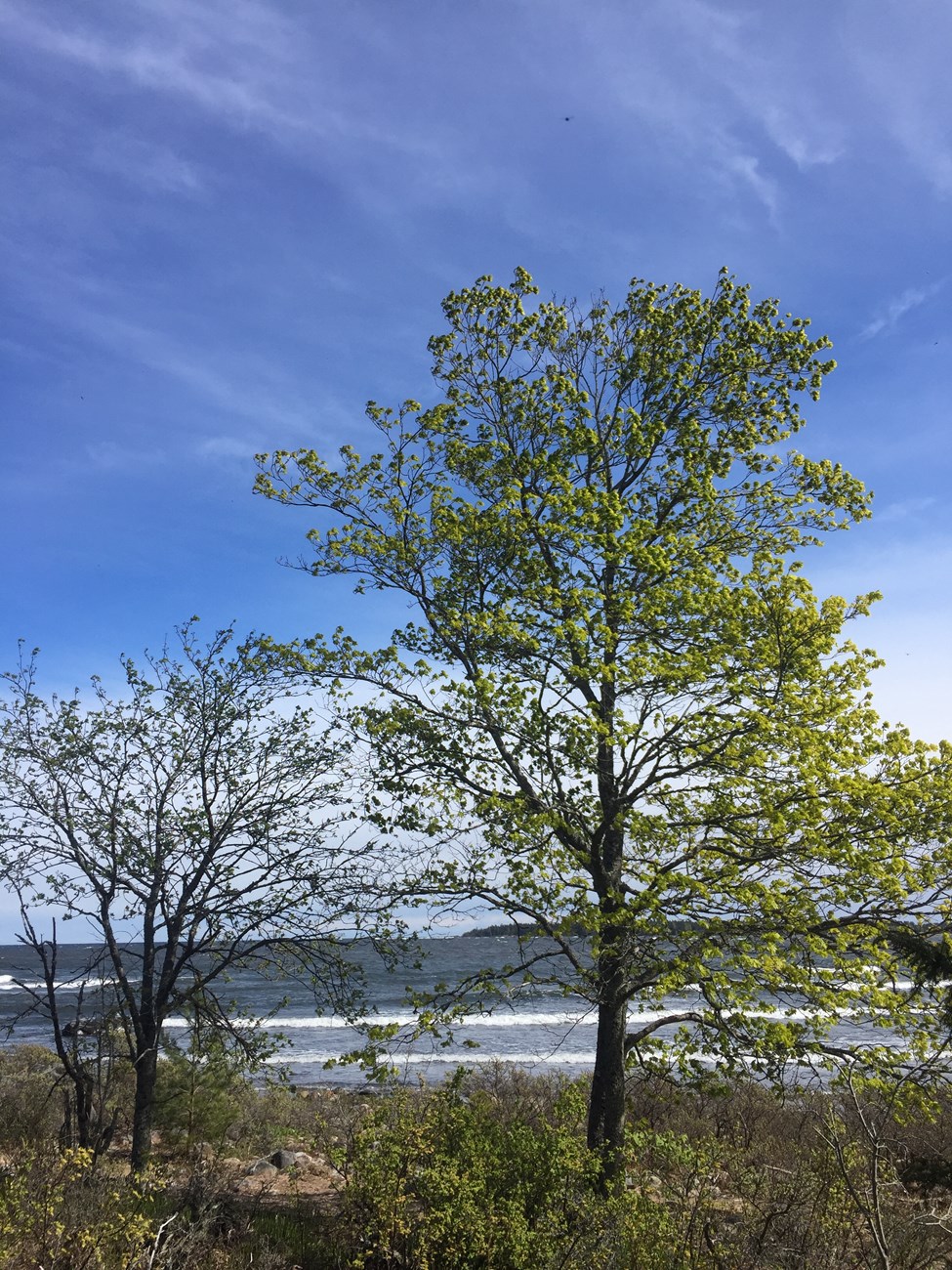 Unterwegs im Norden Schwedens, genauer gesagt auf der Landzunge "Biludden"