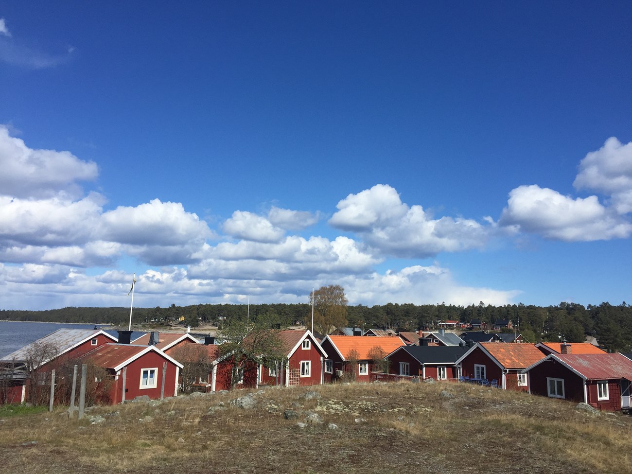 Liebreizendes Holicks, Hornslandet, Schweden