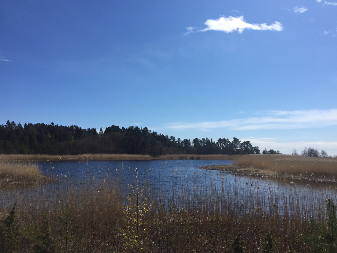 Unterwegs auf der Halbinsel namens Hornslandet, Schweden