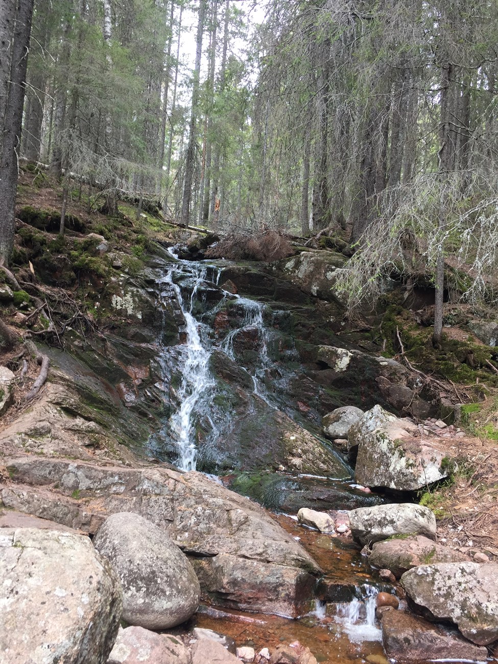 Unterwegs im Skuleskogens Nationalpark 
