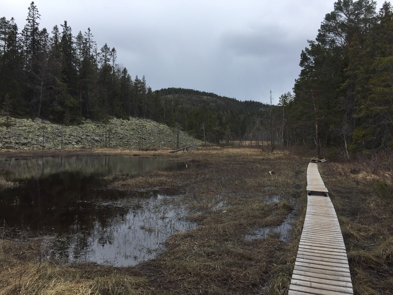 Unterwegs im Skuleskogens Nationalpark (es gibt einige über Holzbohlen führende Abschnitte, deren Errichtung alles andere als ein Kinderspiel dargestellt haben dürfte)
