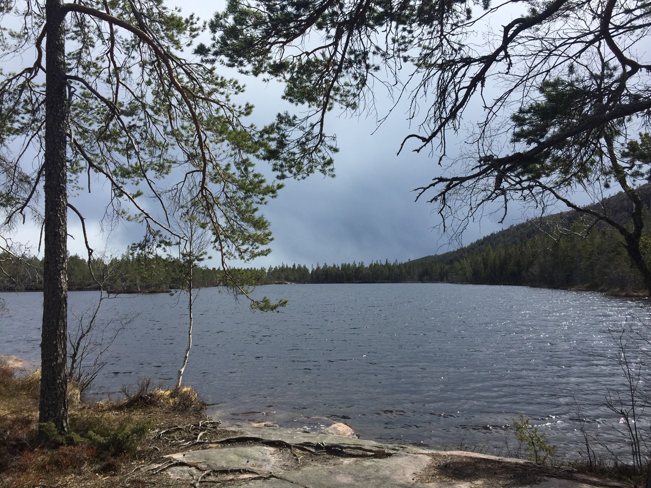 See namens Tärnättvattnen 