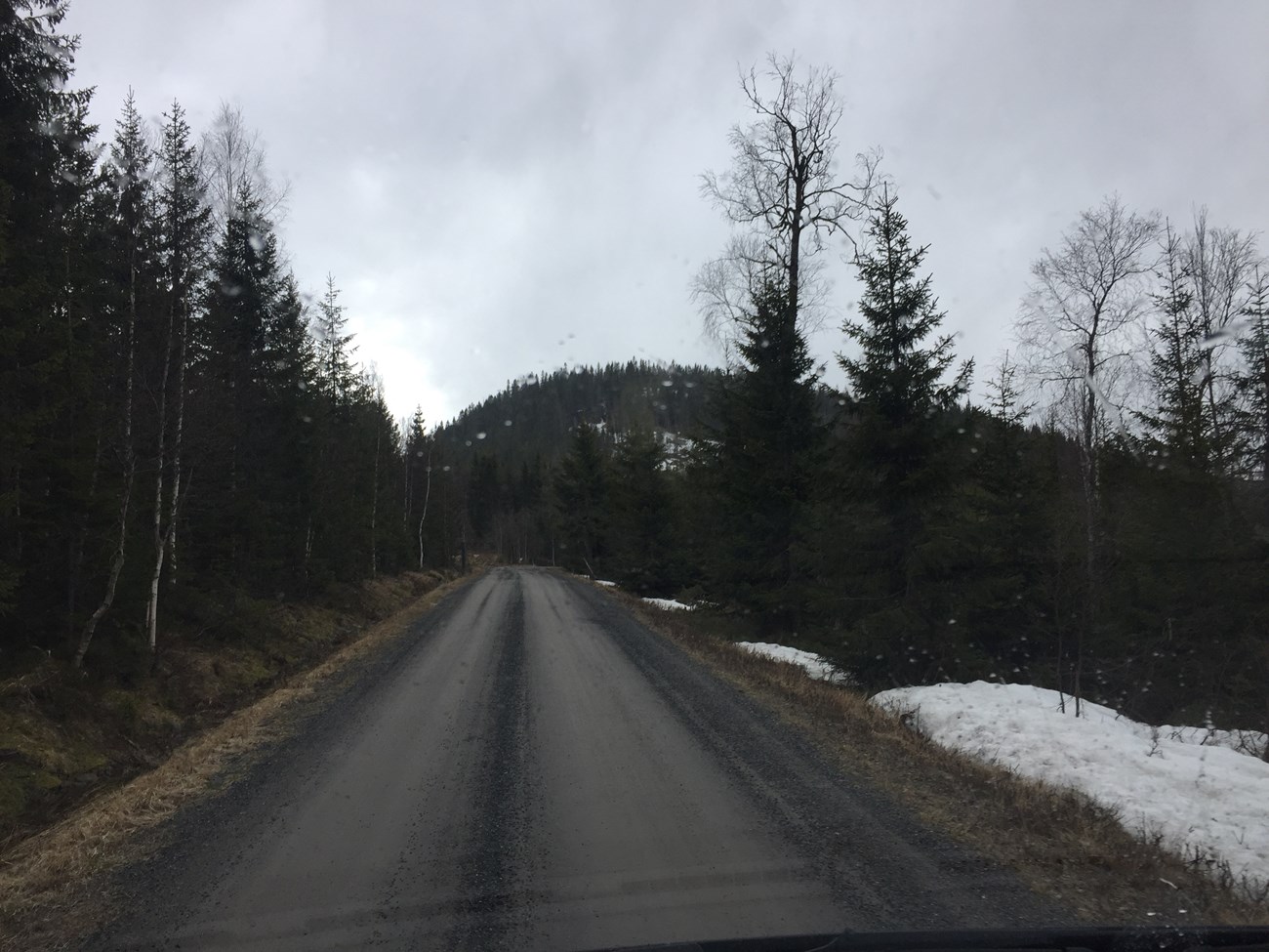 Straße vom / zum Parkplatz Entre West, Skuleskogen National Park