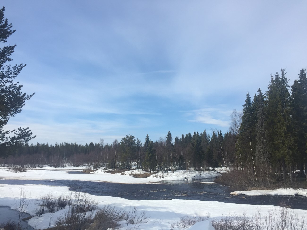 Unterwegs in Nordschweden, in der Nähe von Nattavaara