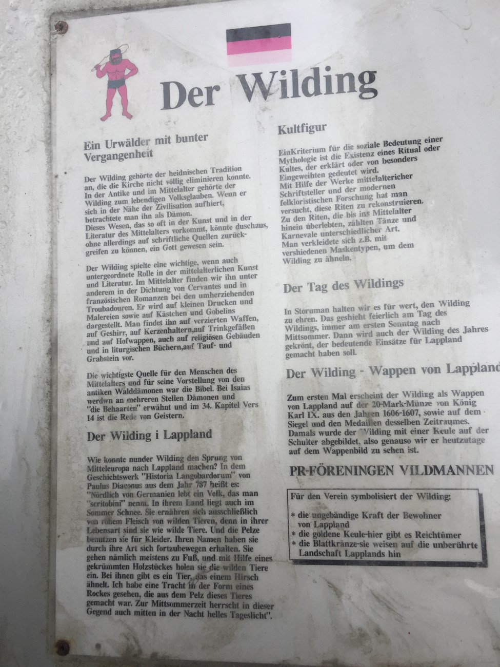 Interessante Informationen über den "Wilding von Storuman"