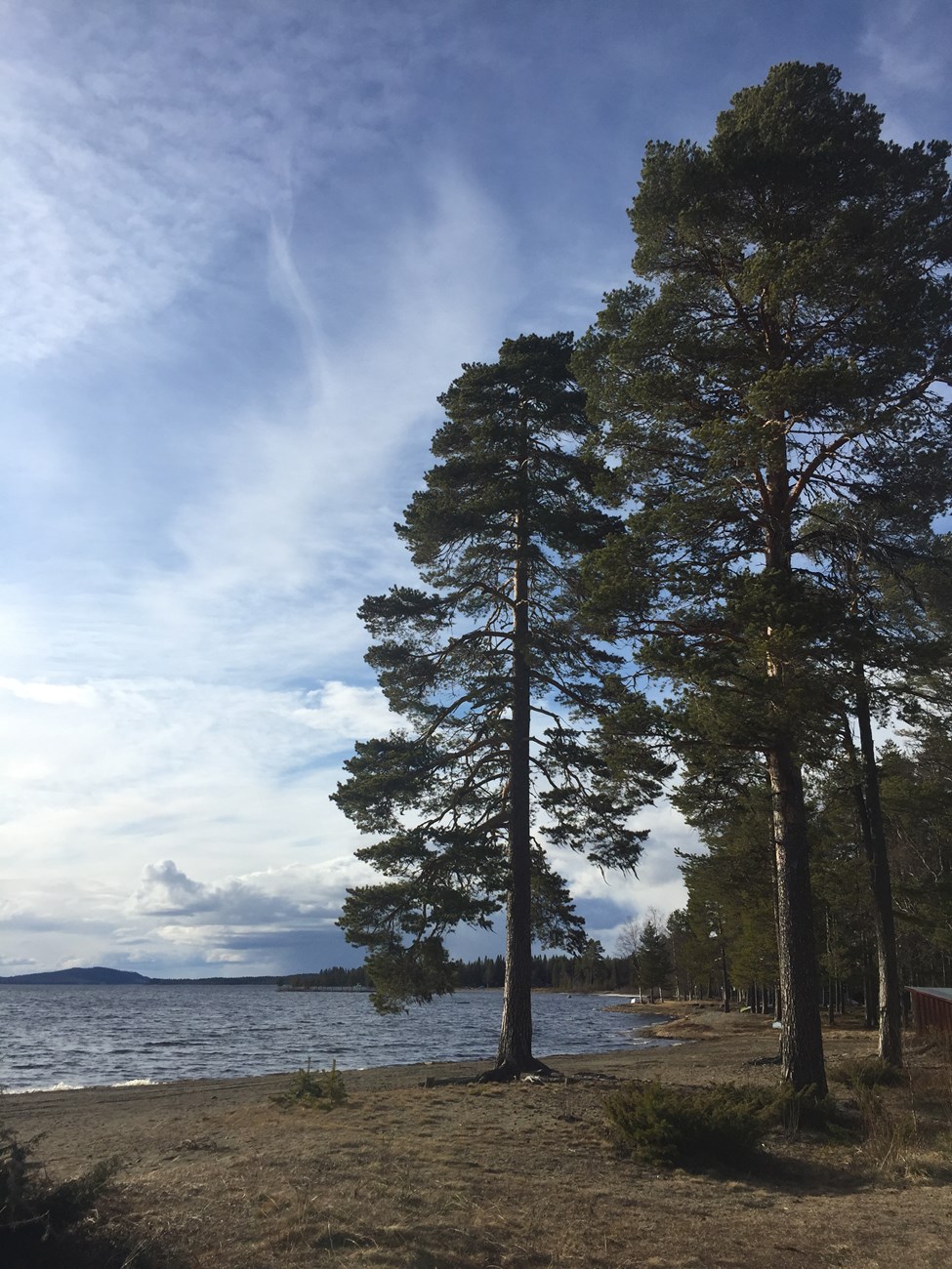 Typische Top-Landschaft kurz hinter Vilhelmina (bei unserem heutigen Schlafplatz)