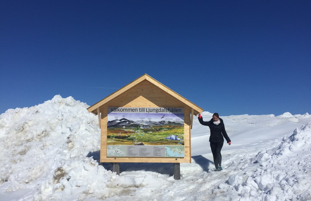 Willkommen im Ljungdalsfjällen, einem Top-Wandergebiet zur passenden Jahreszeit (oder mit Schneeschuhen, die BH und ich nicht besitzen)