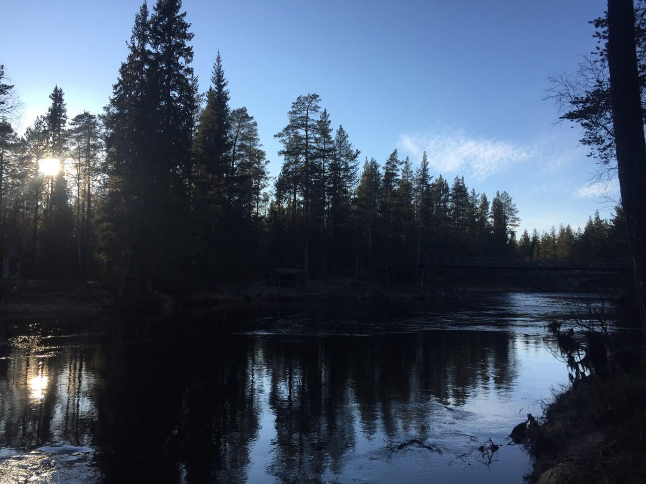 Abendstimmung in der Nähe von Idre, Schweden; alles "top"! 