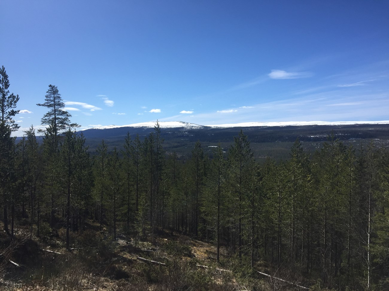 Blick auf den Nationalpark Fulufjället 