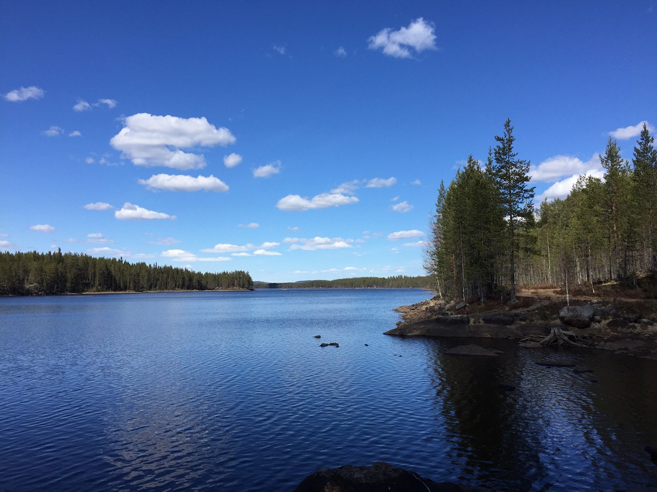 Typisch Schweden