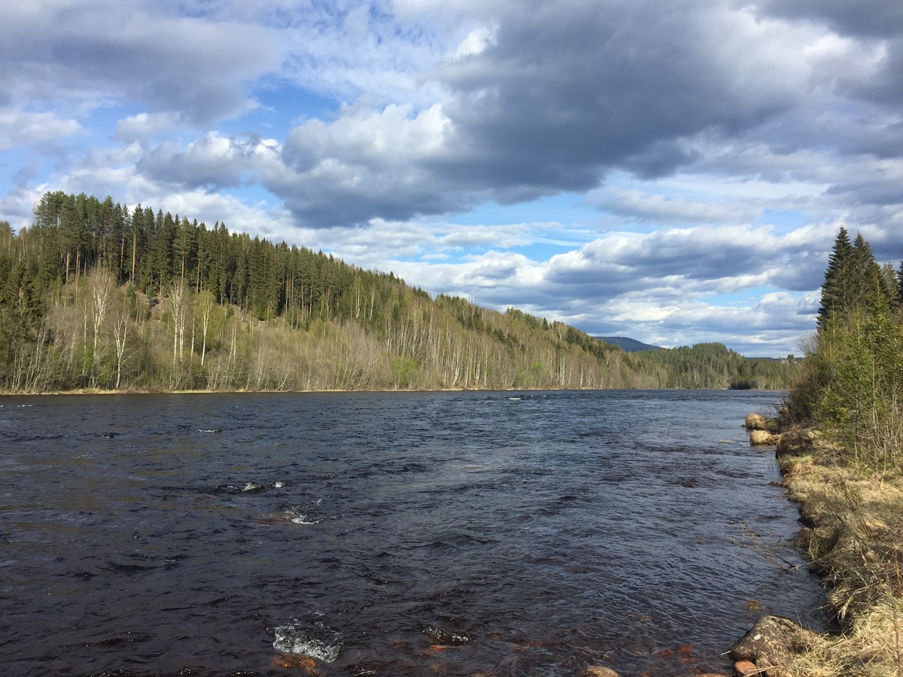 Klarälven 