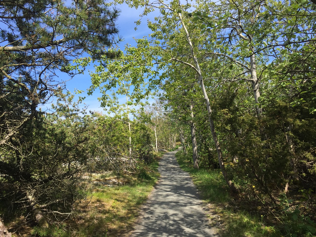 Unterwegs auf Marstrand