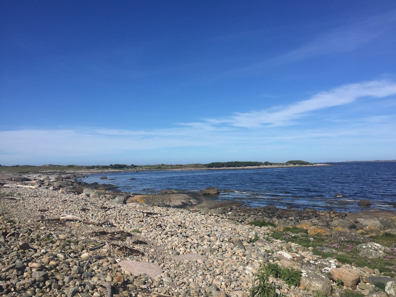Man merkt, dass wir uns wieder in wesentlich südlicheren Gefilden befinden - zwischen Göteborg und Kullaberg; Schweden