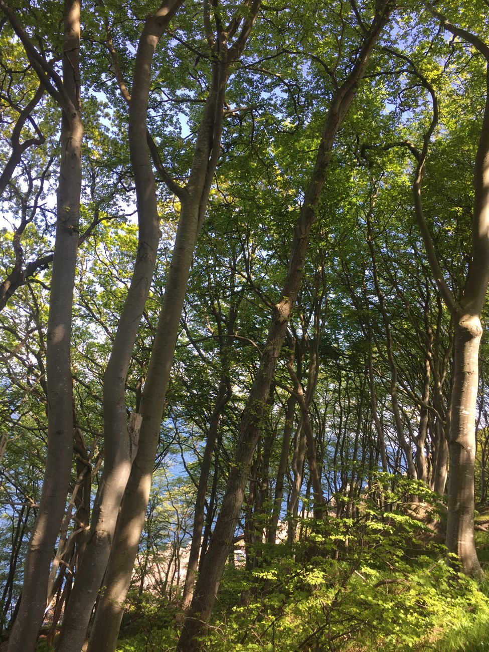 Wanderung entlang der pittoresken Steilküste auf der Kullen-Halbinsel 